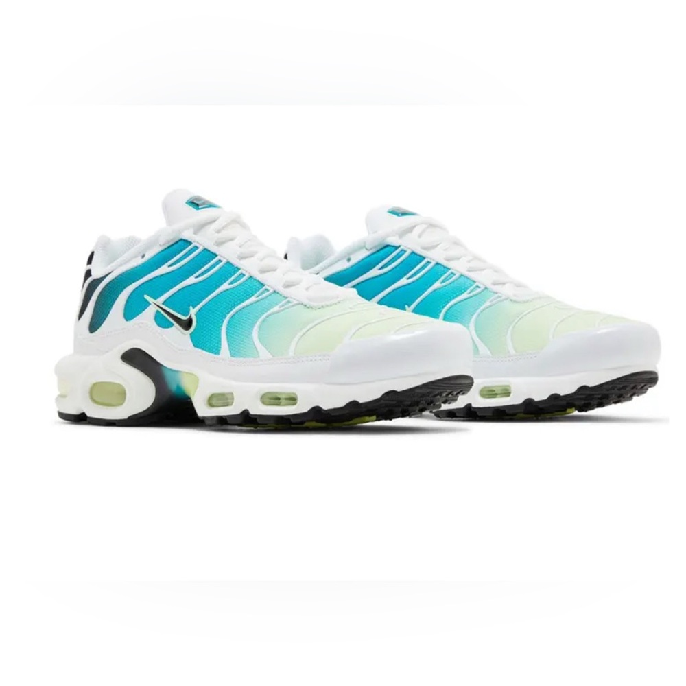 Nike Air Max Plus Blue Green Gradient Shoes
